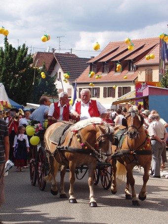 La fête de la mirabelle à Dorlisheim, en alsace
